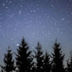 Meet your Posher, Ava